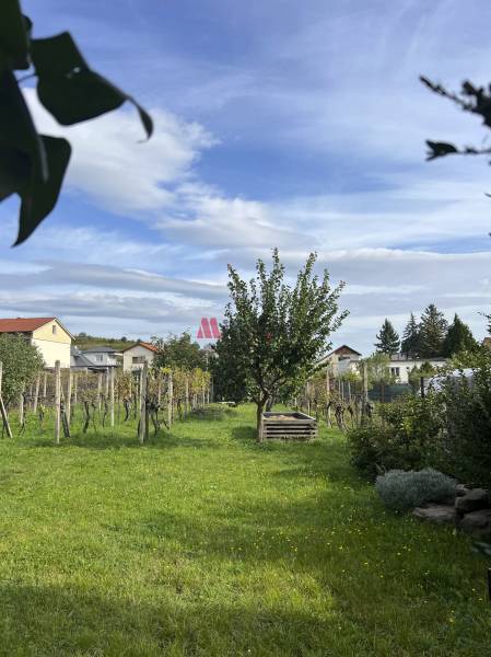Sale Family house, Family house, Puškinova, Pezinok, Slovakia