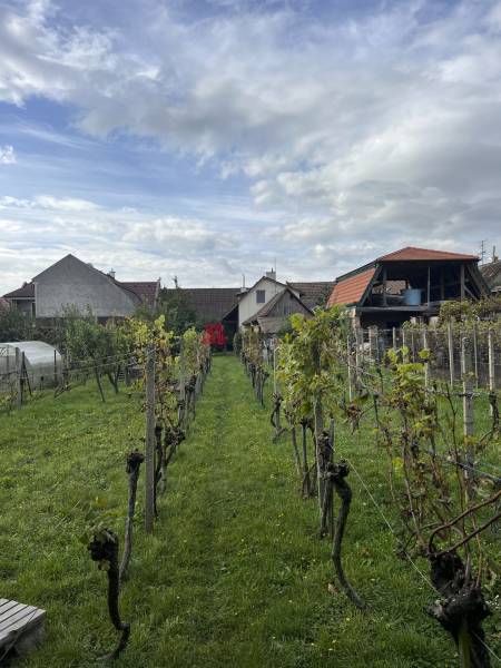 Sale Family house, Family house, Puškinova, Pezinok, Slovakia