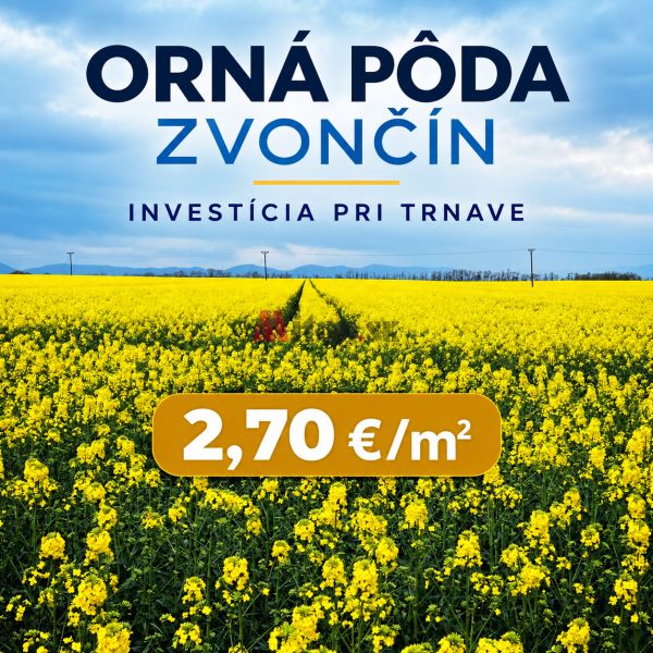 Sale Agrarian and forest land, Agrarian and forest land, Trnava, Slova
