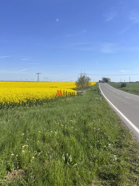 Sale Agrarian and forest land, Agrarian and forest land, Trnava, Slova