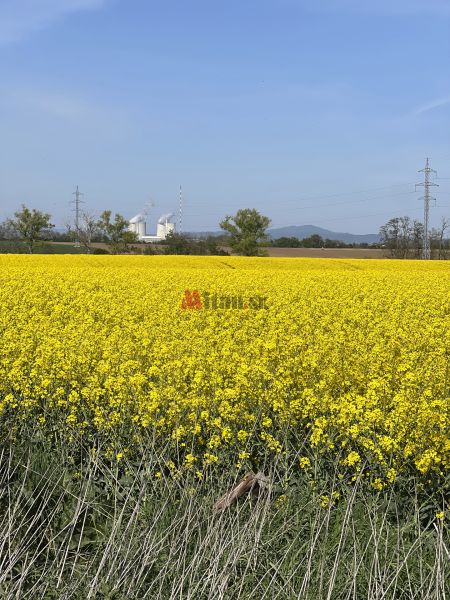 Sale Agrarian and forest land, Agrarian and forest land, Trnava, Slova