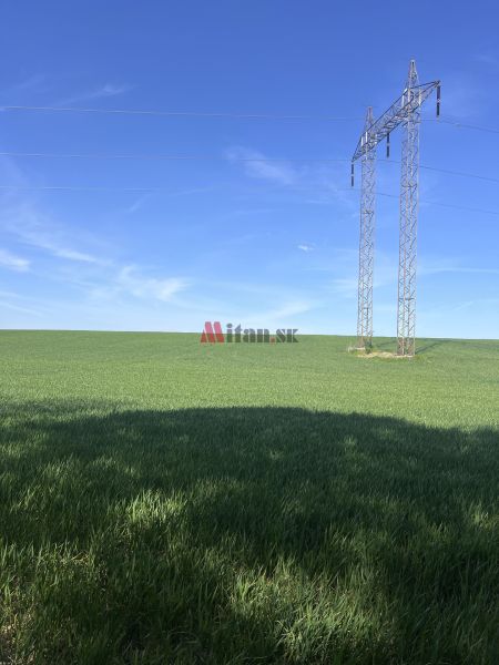 Sale Agrarian and forest land, Agrarian and forest land, Trnava, Slova