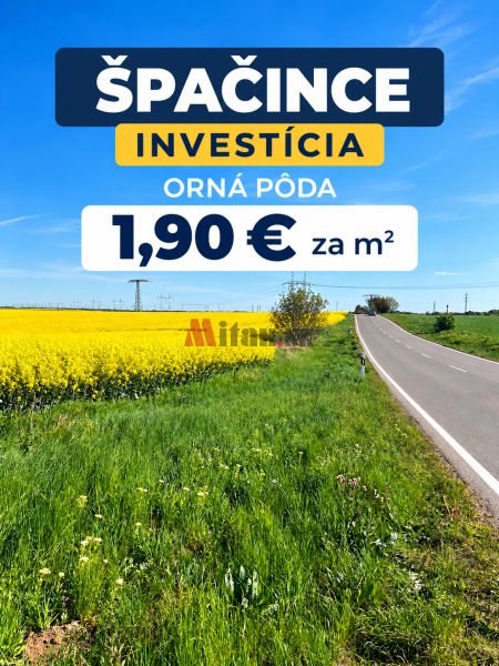 Sale Agrarian and forest land, Agrarian and forest land, Trnava, Slova